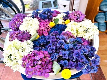 LINE_ALBUM_19_250619_4