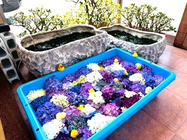 LINE_ALBUM_19_250619_3