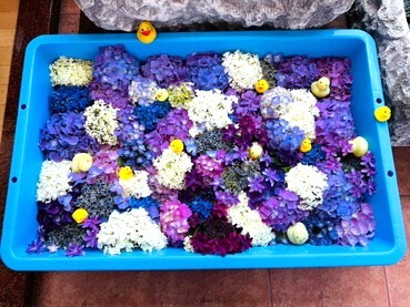 LINE_ALBUM_19_250619_2