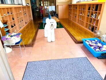 LINE_ALBUM_19_250619_5